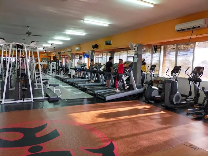 hammerhead fitness