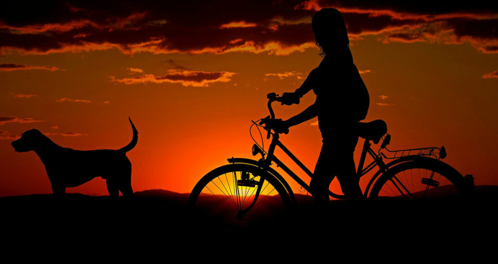 girl and dog with sunset background