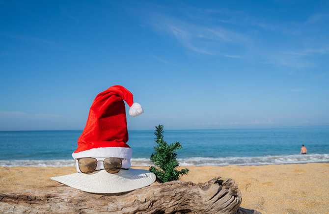 christmas accessories