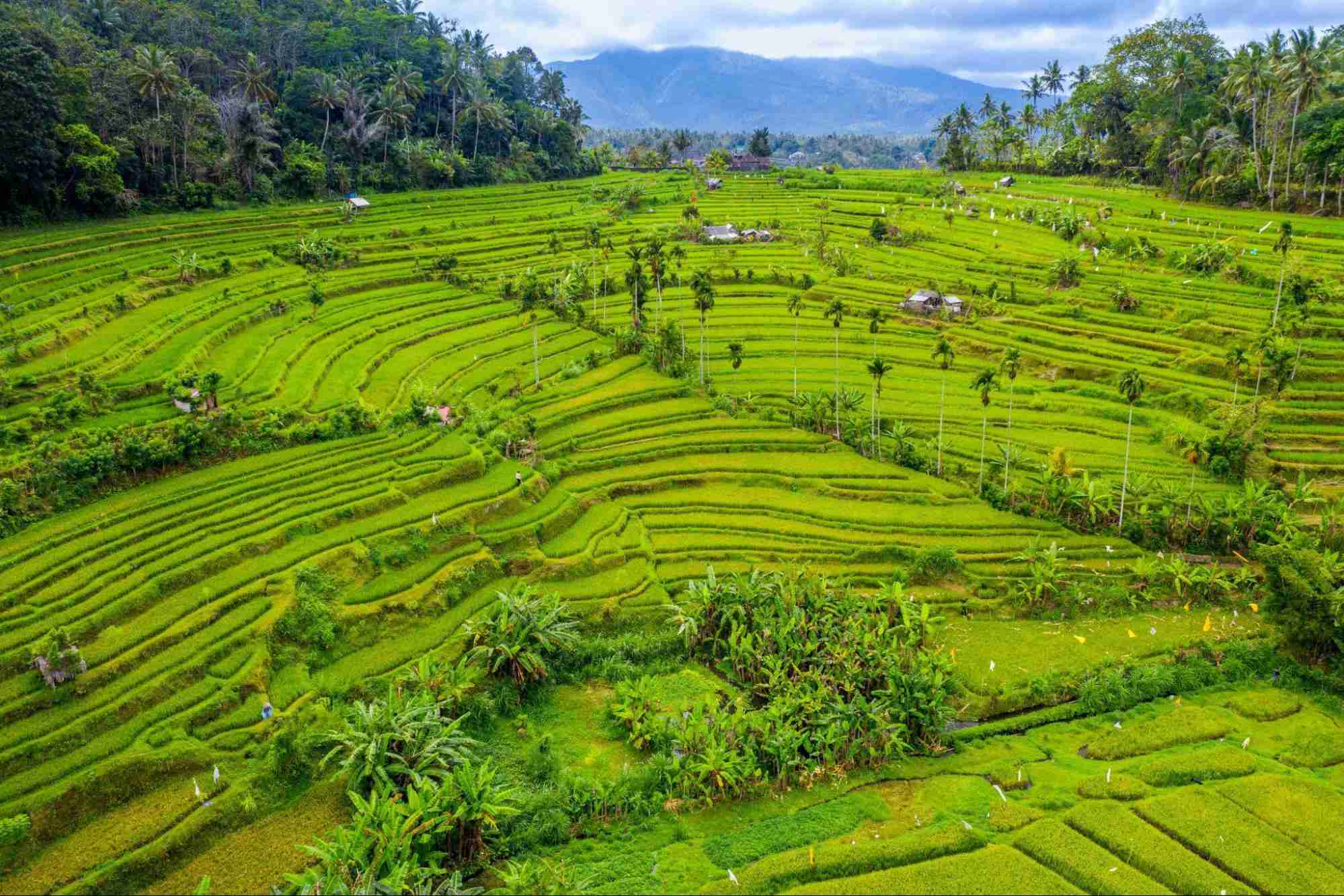 Best Instagrammable Places in Bali
