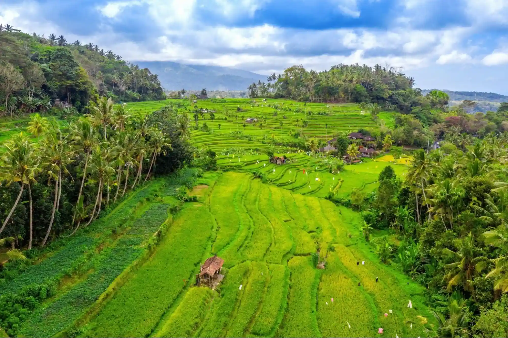 What to Do in Bali in 2026