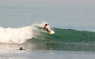 activities surfecho