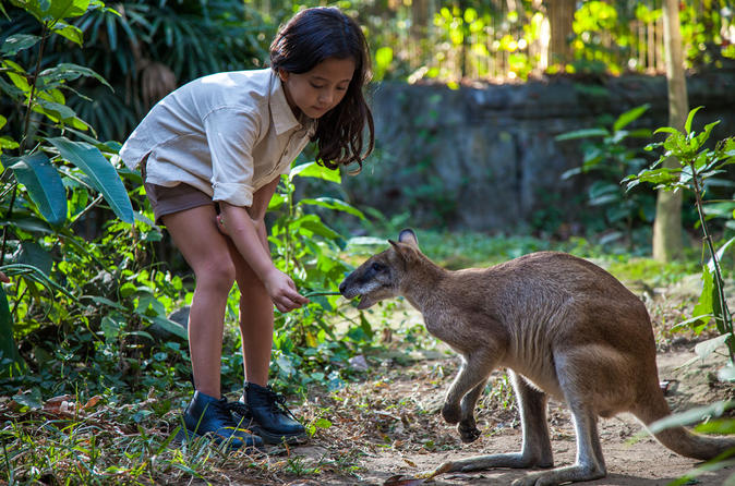 Christmas in Bali - Bali Zoo