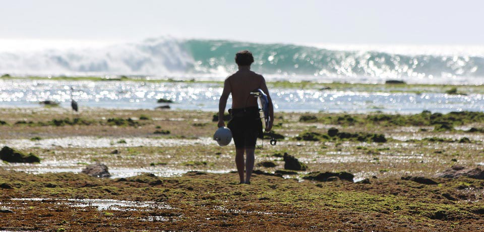 Bali surfing