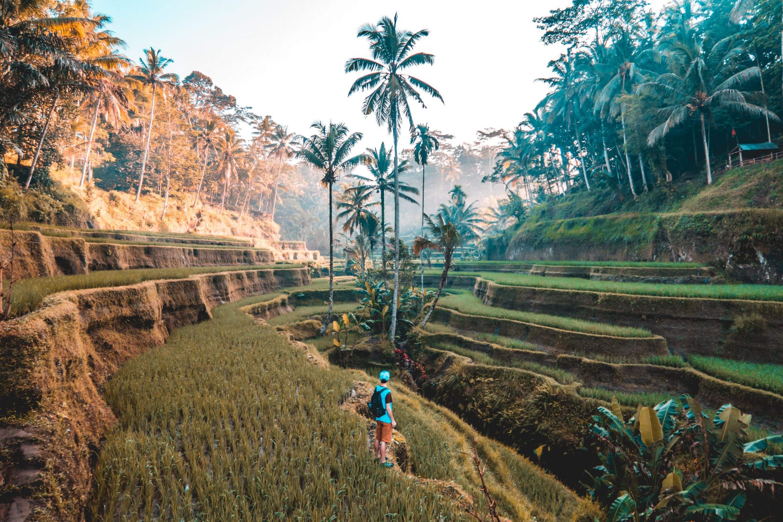 revisit Bali paradise