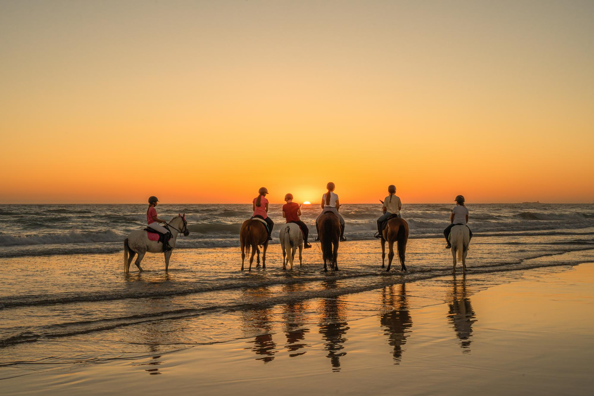 Book A Horse Riding In Bali